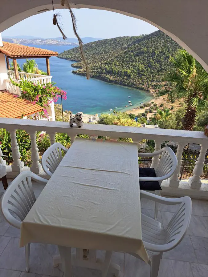 Property image 21