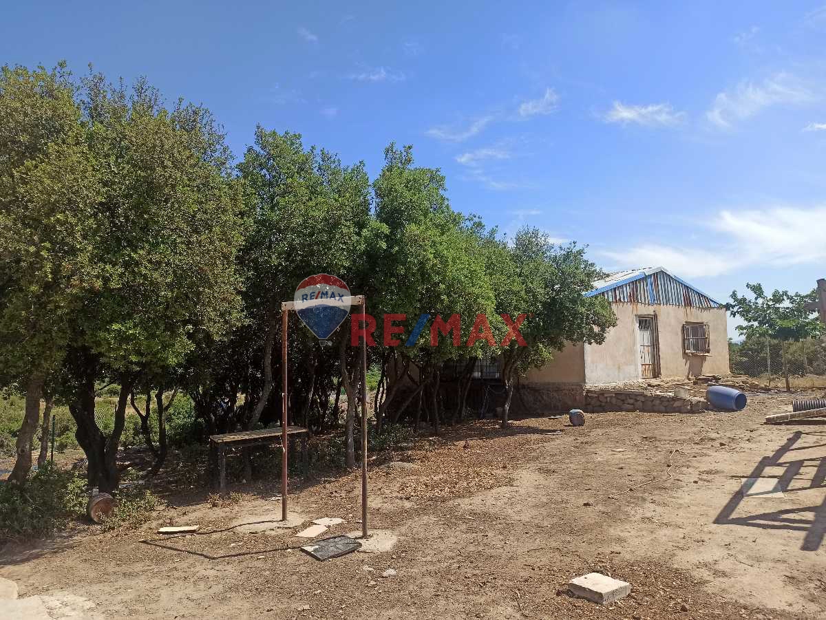 KARŞIYAKA'DA 6.733 M² SUYU VE DEPOSU OLAN YAPI İZİNLİ ÇİFTLİK