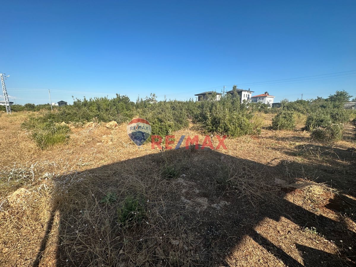 DÖŞEMEALTI ÇIPLAKLI 366 M² VİLLA ARSASI