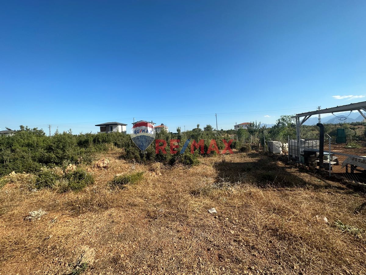 DÖŞEMEALTI ÇIPLAKLI 366 M² VİLLA ARSASI