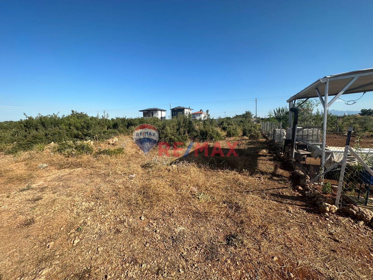 DÖŞEMEALTI ÇIPLAKLI 366 M² VİLLA ARSASI