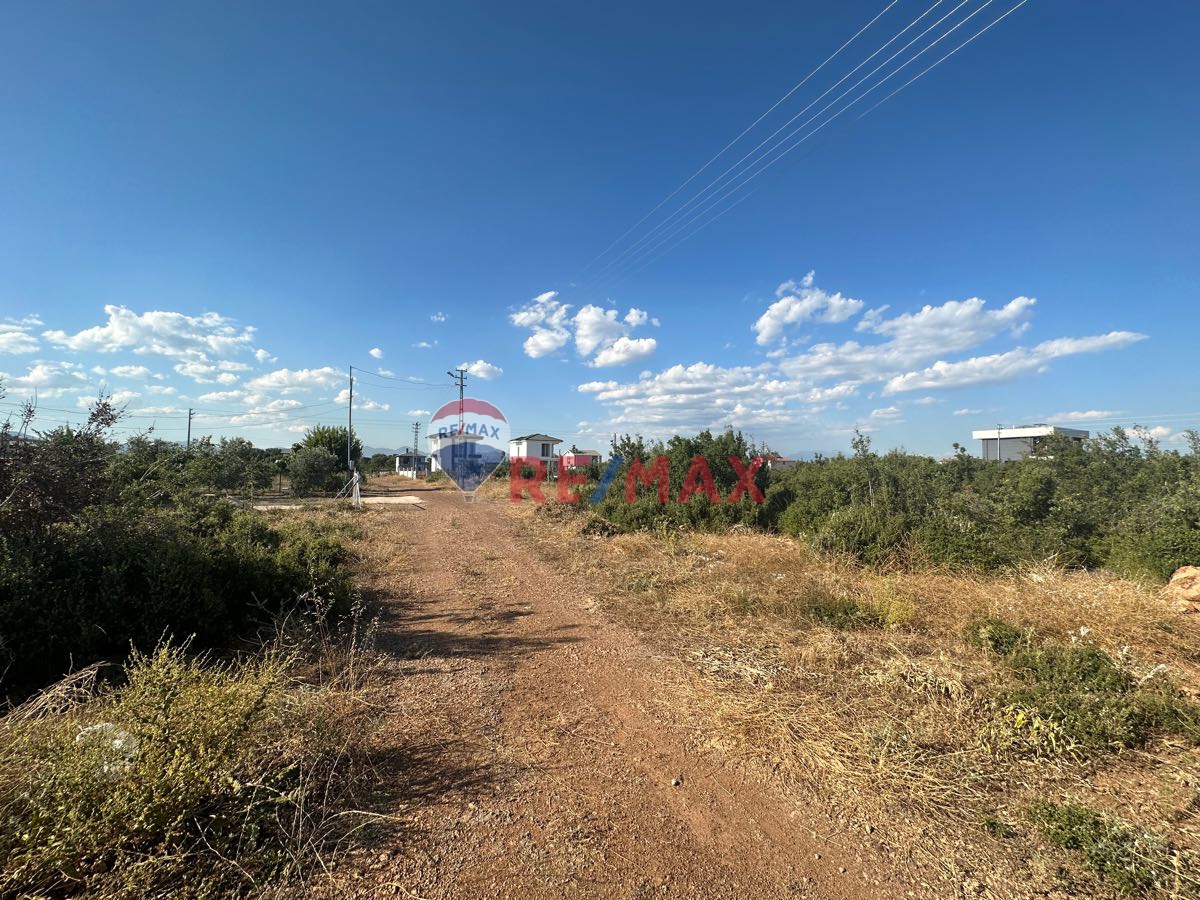 DÖŞEMEALTI ÇIPLAKLI 366 M² VİLLA ARSASI