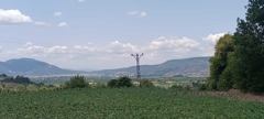 BİLECİK GÖLPAZARI ARICAKLAR KÖYÜNDE SATILIK 1446 M2 TARLA