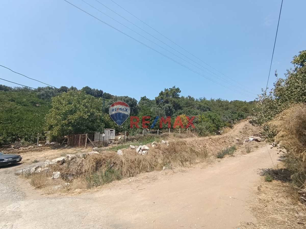 ÖZDERE’DE YATIRIMLIK VE GELİR GETİREN 12 DÖNÜM TARLA – AVOKADO, MANDALİNA VE ZEYTİN BAHÇESİ