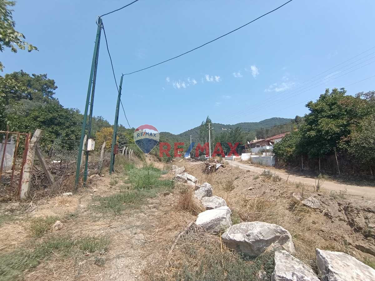 ÖZDERE’DE YATIRIMLIK VE GELİR GETİREN 12 DÖNÜM TARLA – AVOKADO, MANDALİNA VE ZEYTİN BAHÇESİ