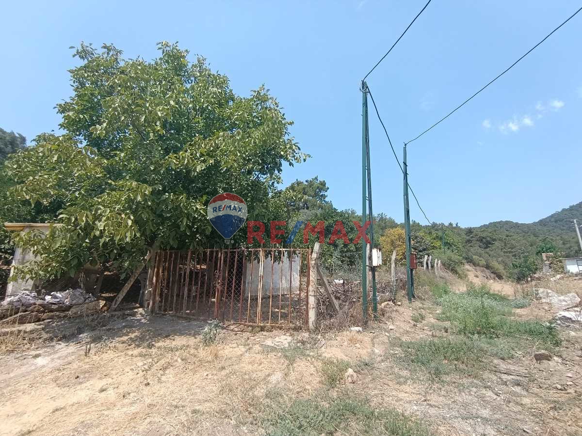 ÖZDERE’DE YATIRIMLIK VE GELİR GETİREN 12 DÖNÜM TARLA – AVOKADO, MANDALİNA VE ZEYTİN BAHÇESİ