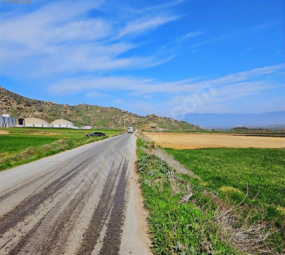 25 ÖDEMIŞ BOZCAYAKA MAH. SATILIK TARLA ANAYOL CEPHELI 