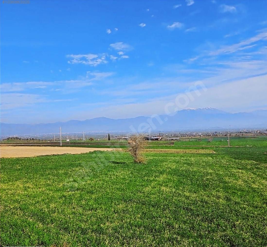 25 ÖDEMIŞ BOZCAYAKA MAH. SATILIK TARLA ANAYOL CEPHELI 