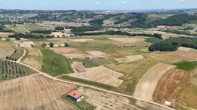 KANDIRA PELİTPINARI SATILIK 3520 M² YATIRIMLIK TARLA