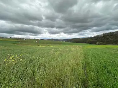 SAKARYA KARADAVUTLU KÖY YAKINI 1751 M2 SATILIK