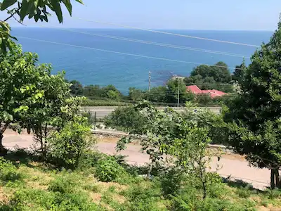 GÜZELYALI'DA ÖNÜ KAPANMAYACAK DENIZ MANZARALI | 437 M² KONUT İMARLI ARSA