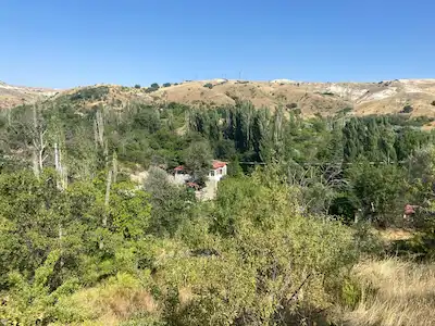 ANKARA AYAŞ’TA SATILIK BAĞ & BAHÇE NİTELİĞİNDE ARSA