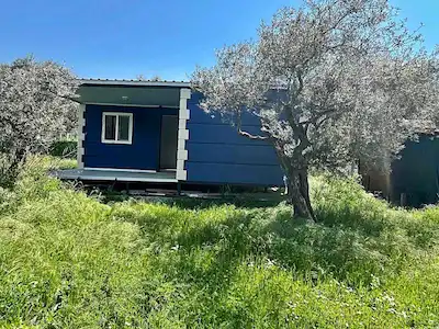 KEMALPAŞA VİŞNELİDE SATLILK BAHÇE