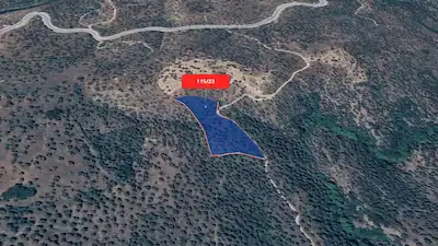 AYDIN YENIPAZARDA YOLA CEPHELI 5 DÖNÜM SATILIK ZEYTIN BAHÇESI