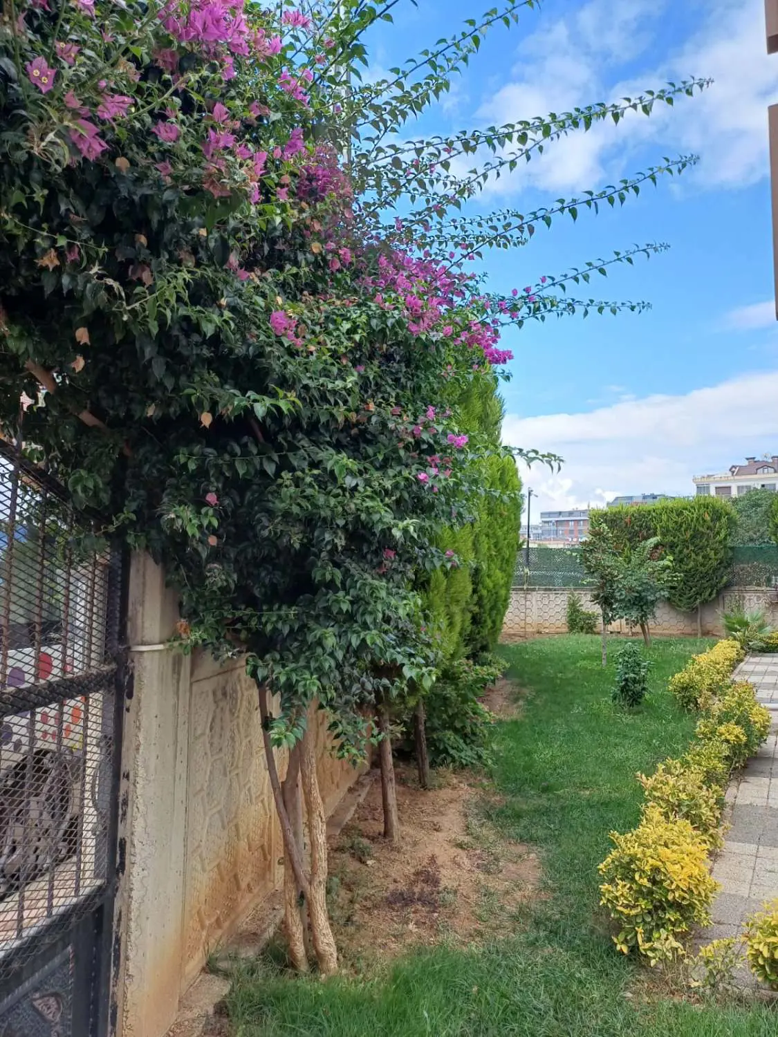 Property image 30