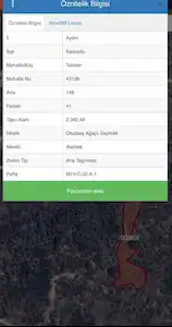 AYDIN KARPUZLU TEKELER’DE SATILIK ZEYTİNLİK
