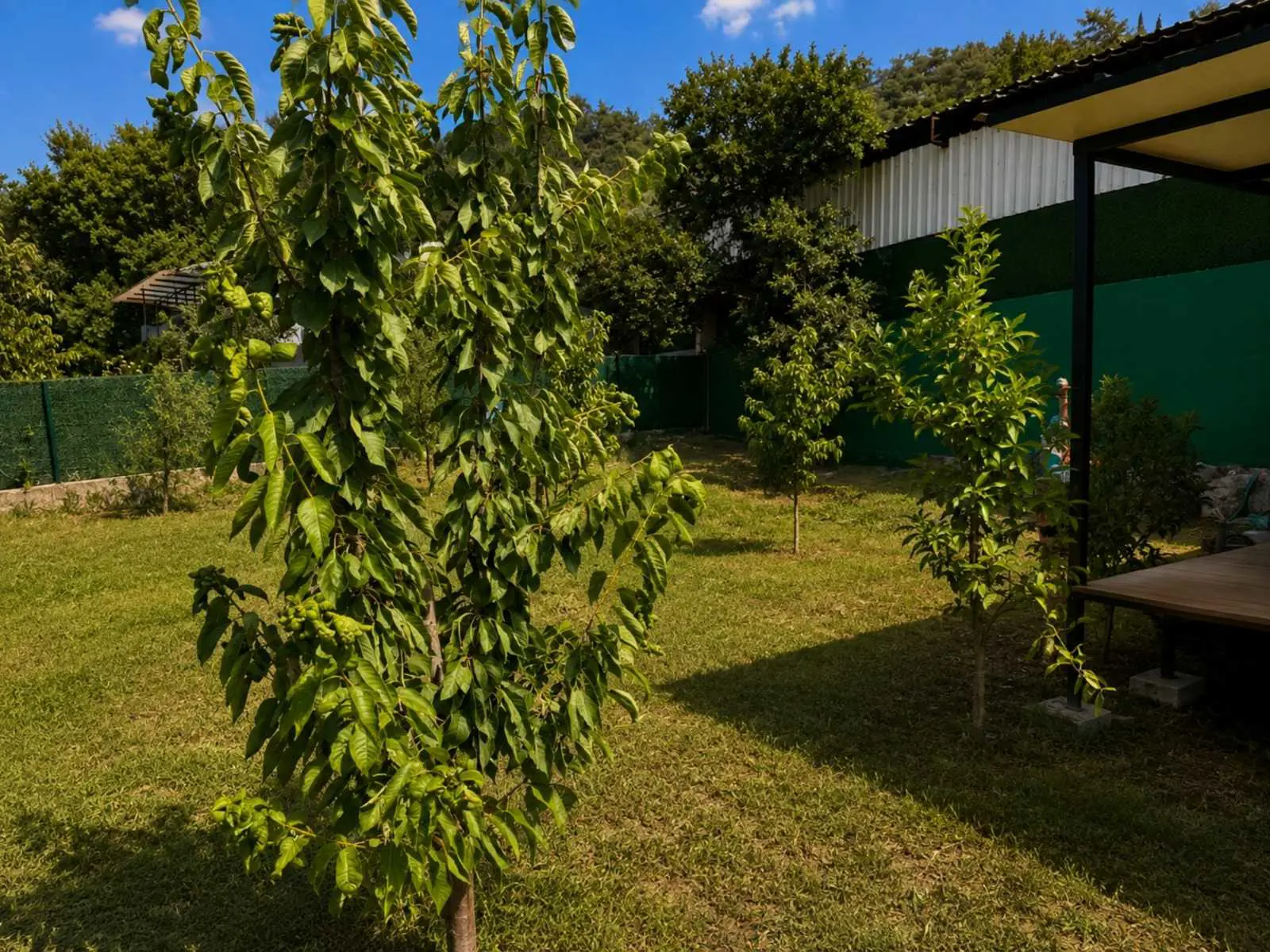Property image 16