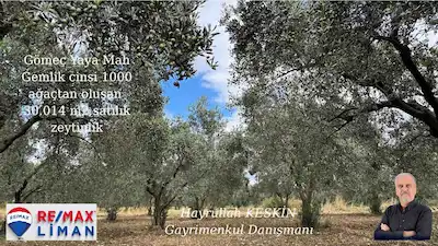 BALIKESİR GÖMEÇ YAYA MAHALLESİN’DE MÜSTAKİL PARSEL 30.014 M2 SATILIK TARLA / ZEYTİNLİK