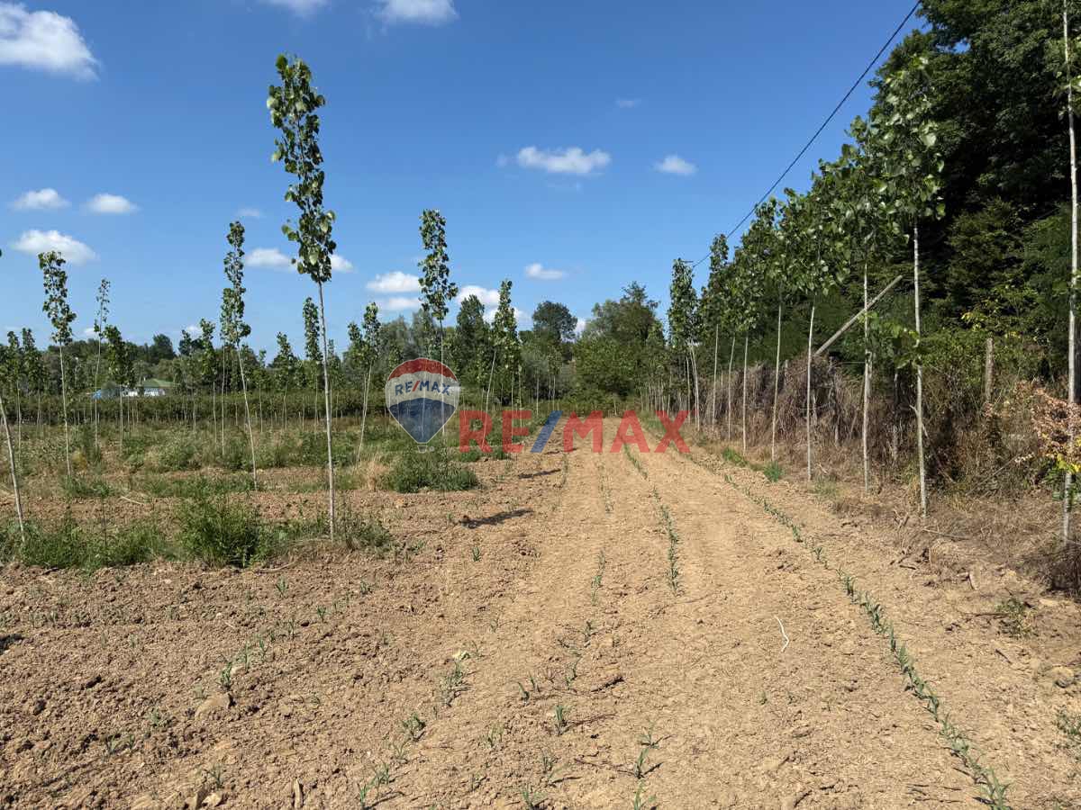 REMAX ŞAHİNDEN ÇARŞAMBA PORSUK MAHALLESİNDE 13.148 M2 TARLA