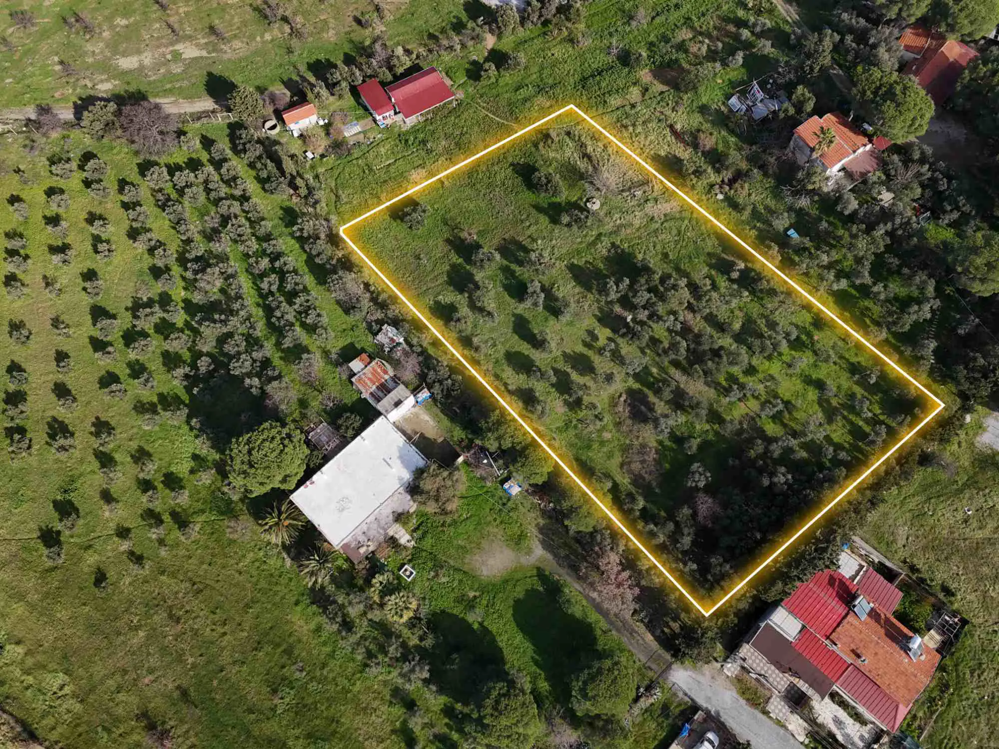 Property image 18