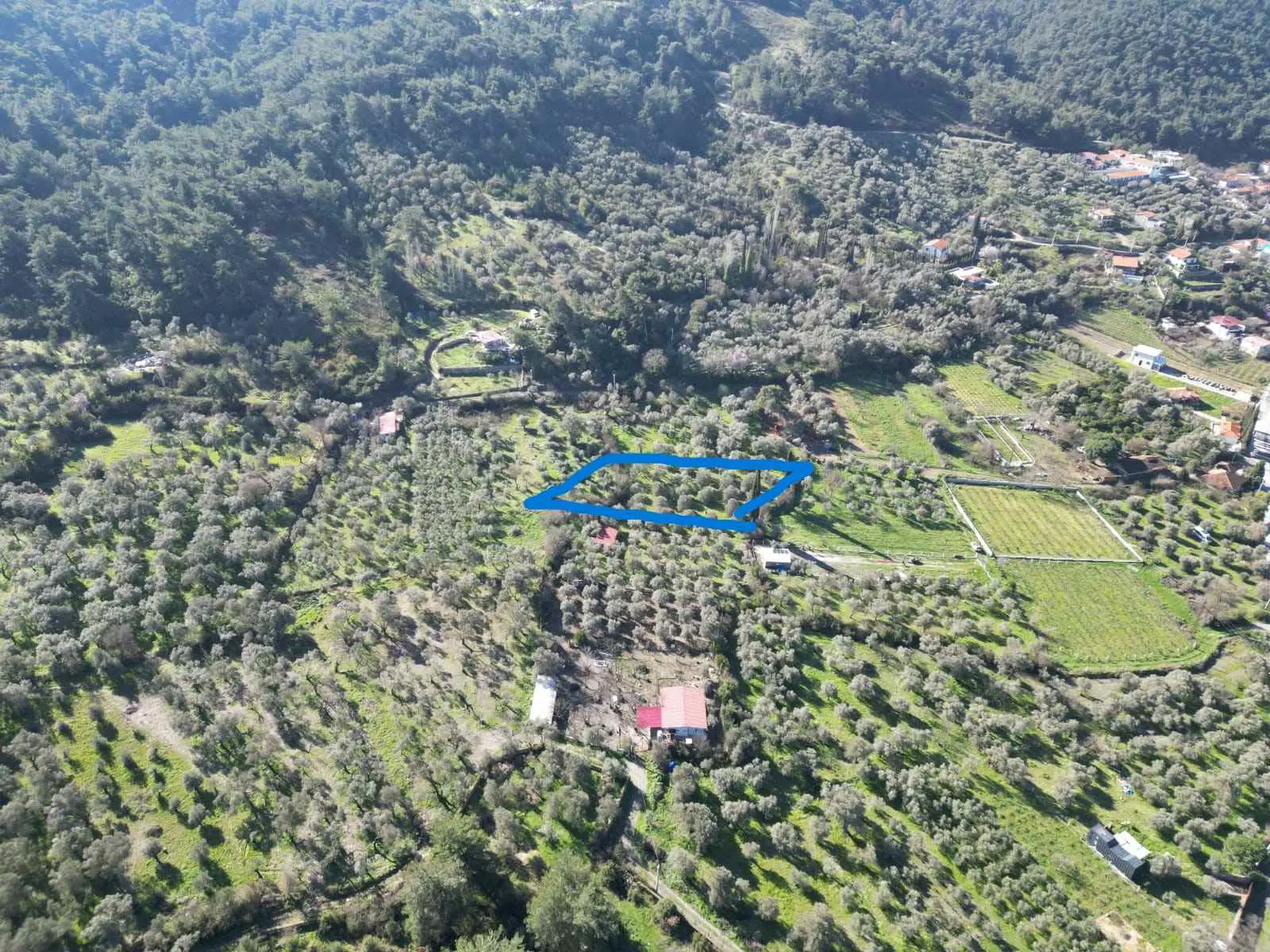 Property image 6
