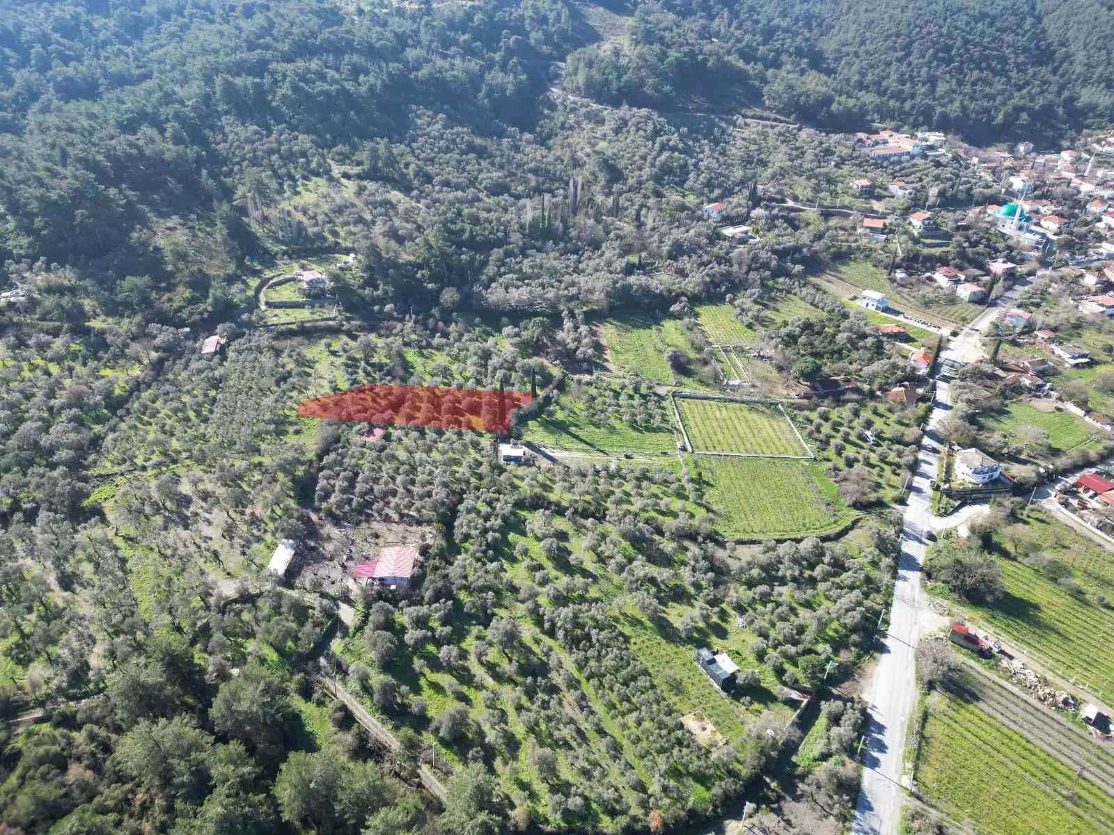 Property image 9