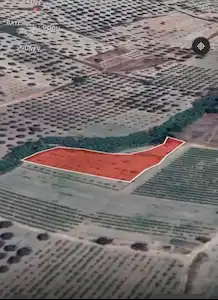 SARUHANLI PINARBAŞINDA YATIRIMLIK DEĞERLİ 2300 M2 SATILIK BAĞ