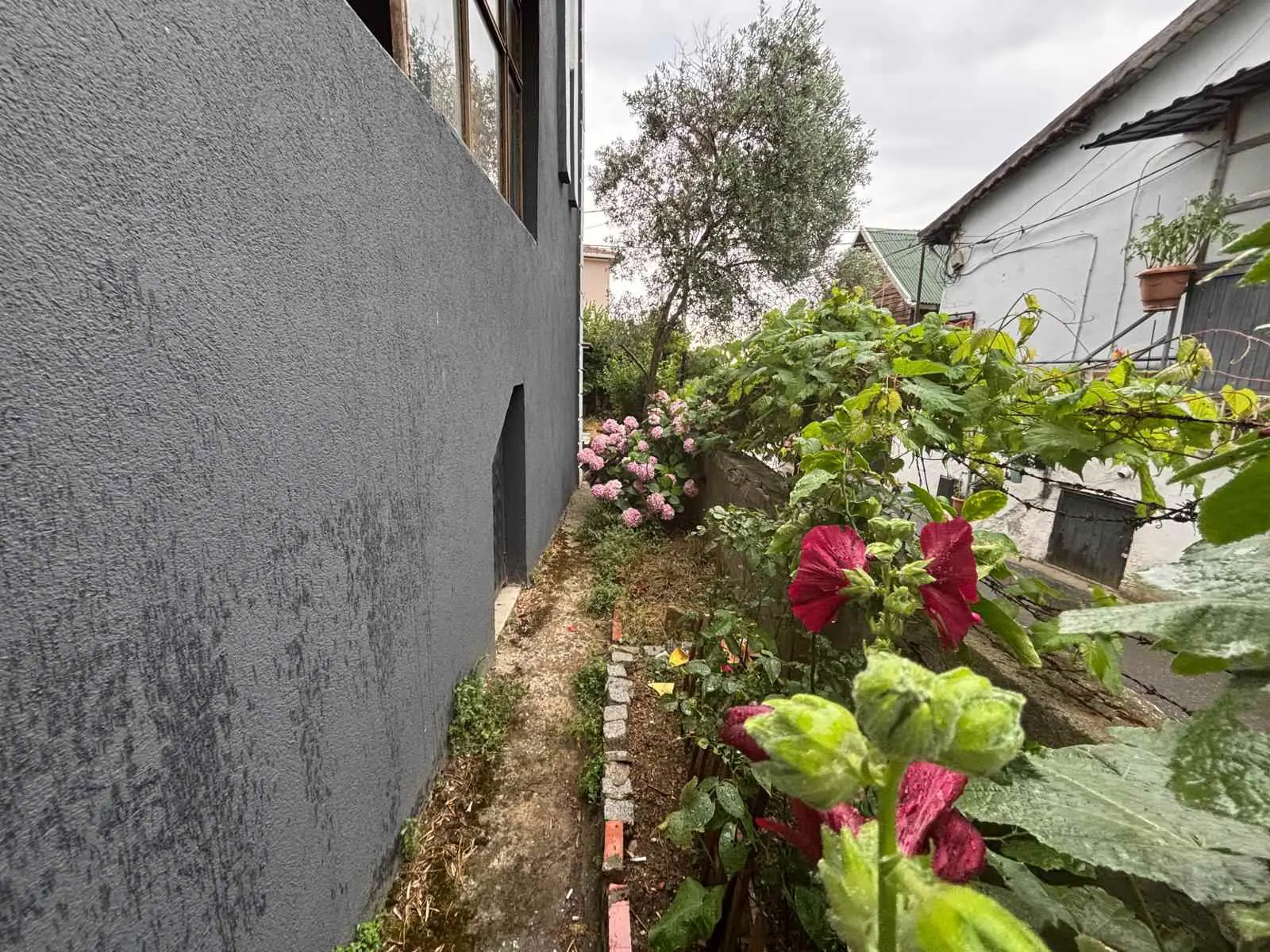Property image 65