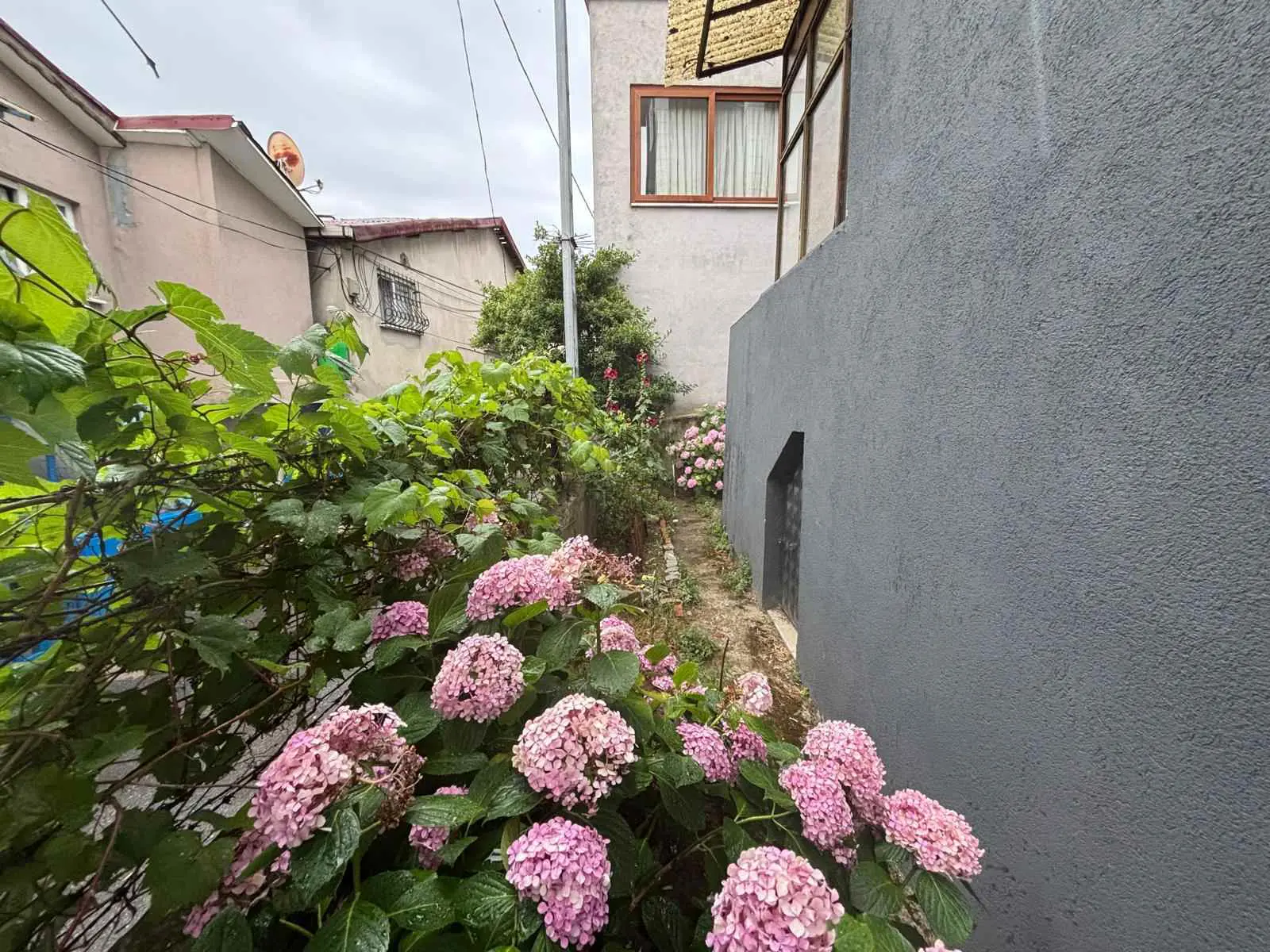 Property image 24
