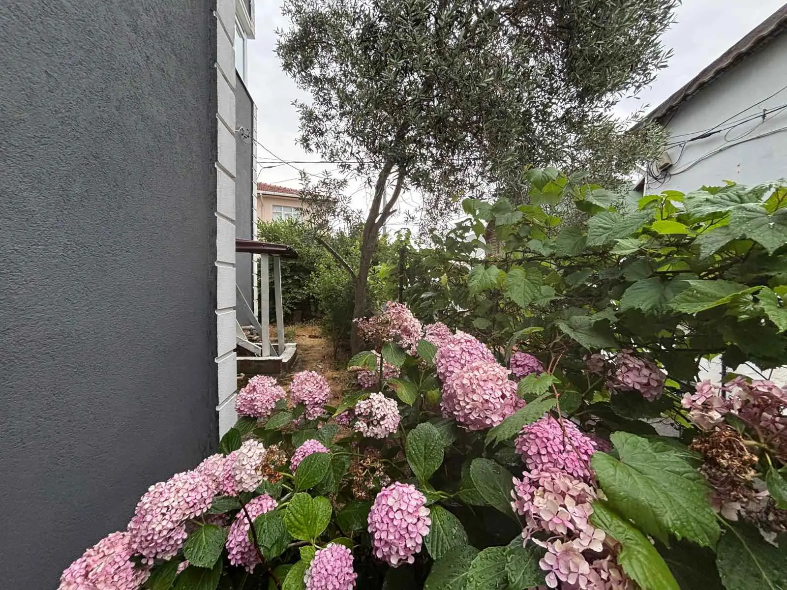 Property image 66