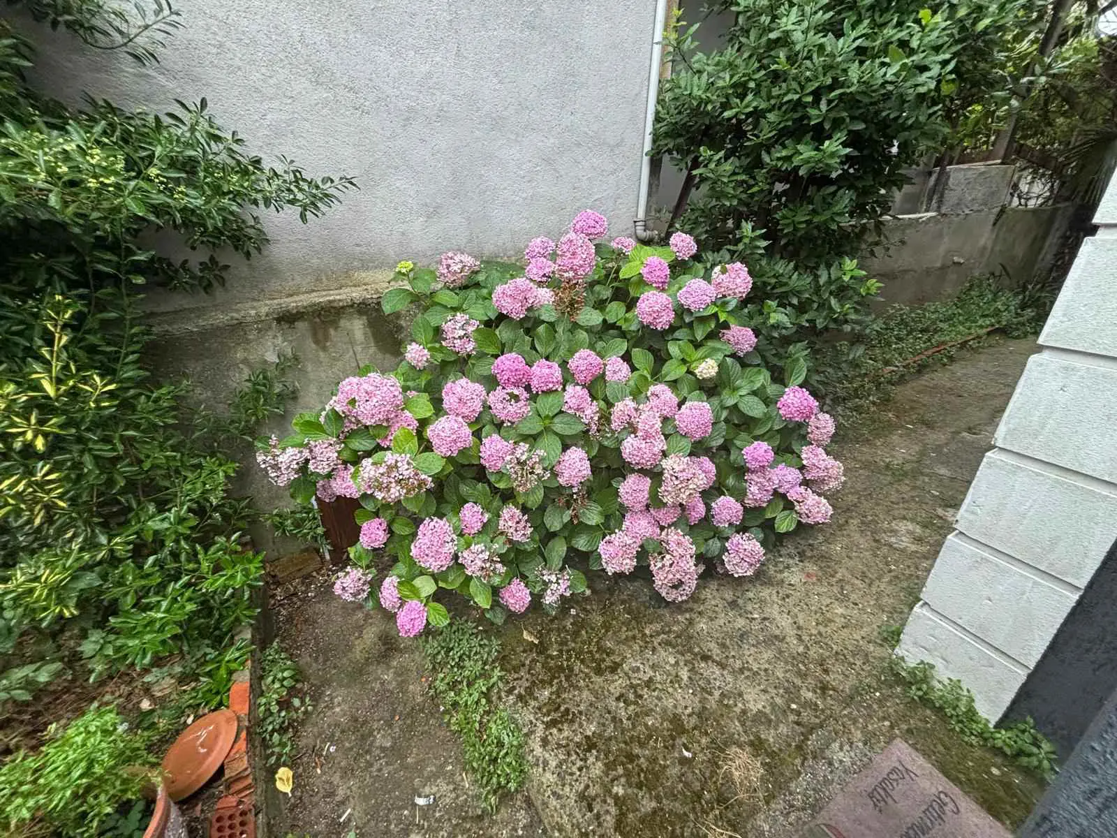 Property image 44