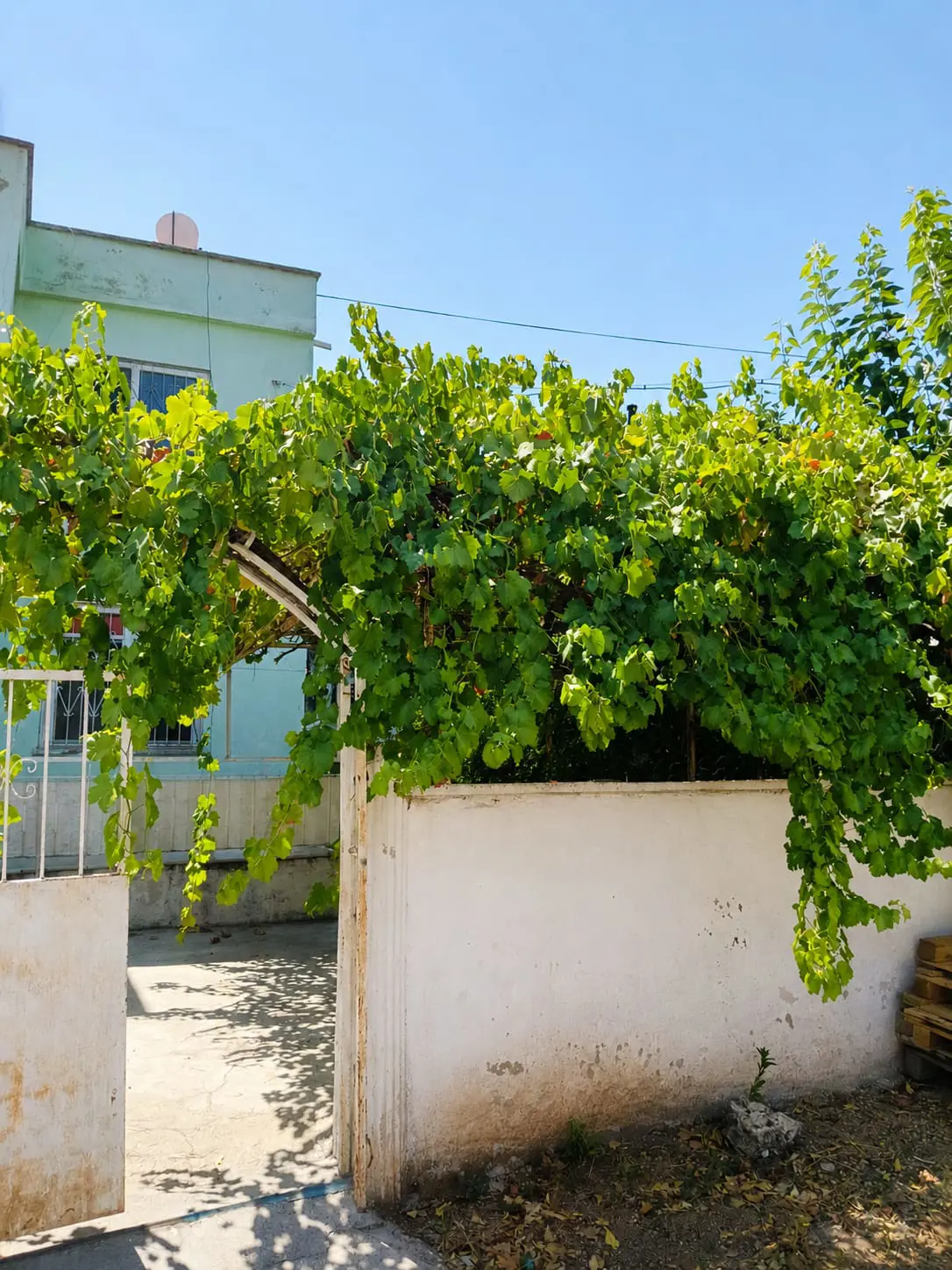 Property image 22