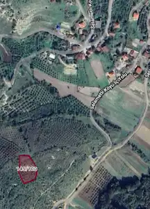 KOCAELİ KANDIRA SELAMETLİ KÖYÜ FINDIKLIK VE BAHÇE