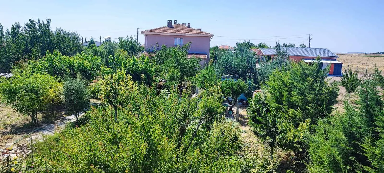 Property image 29