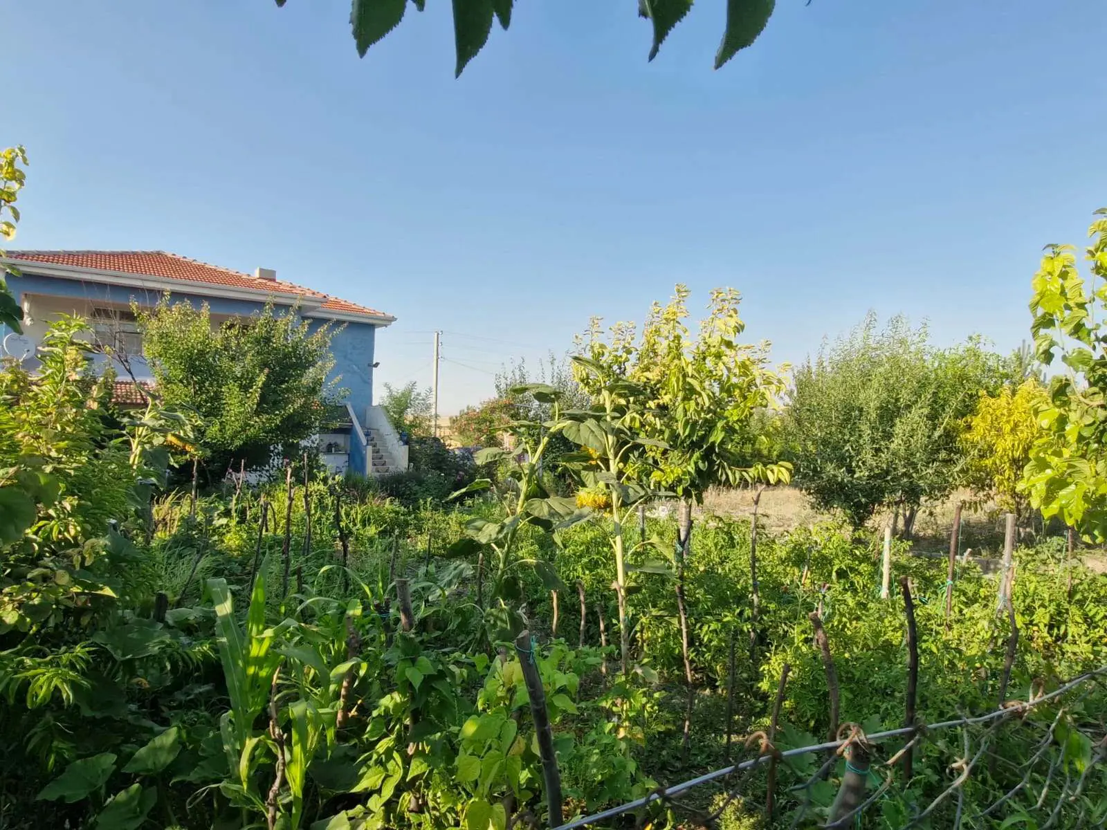 Property image 21