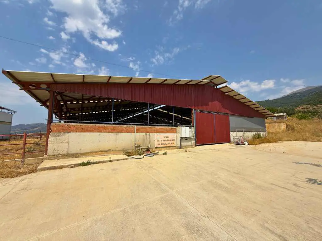 Property image 8