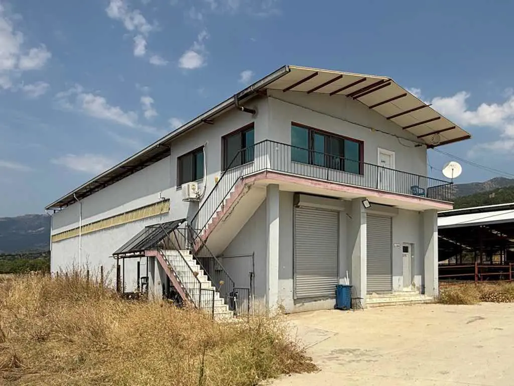 Property image 19