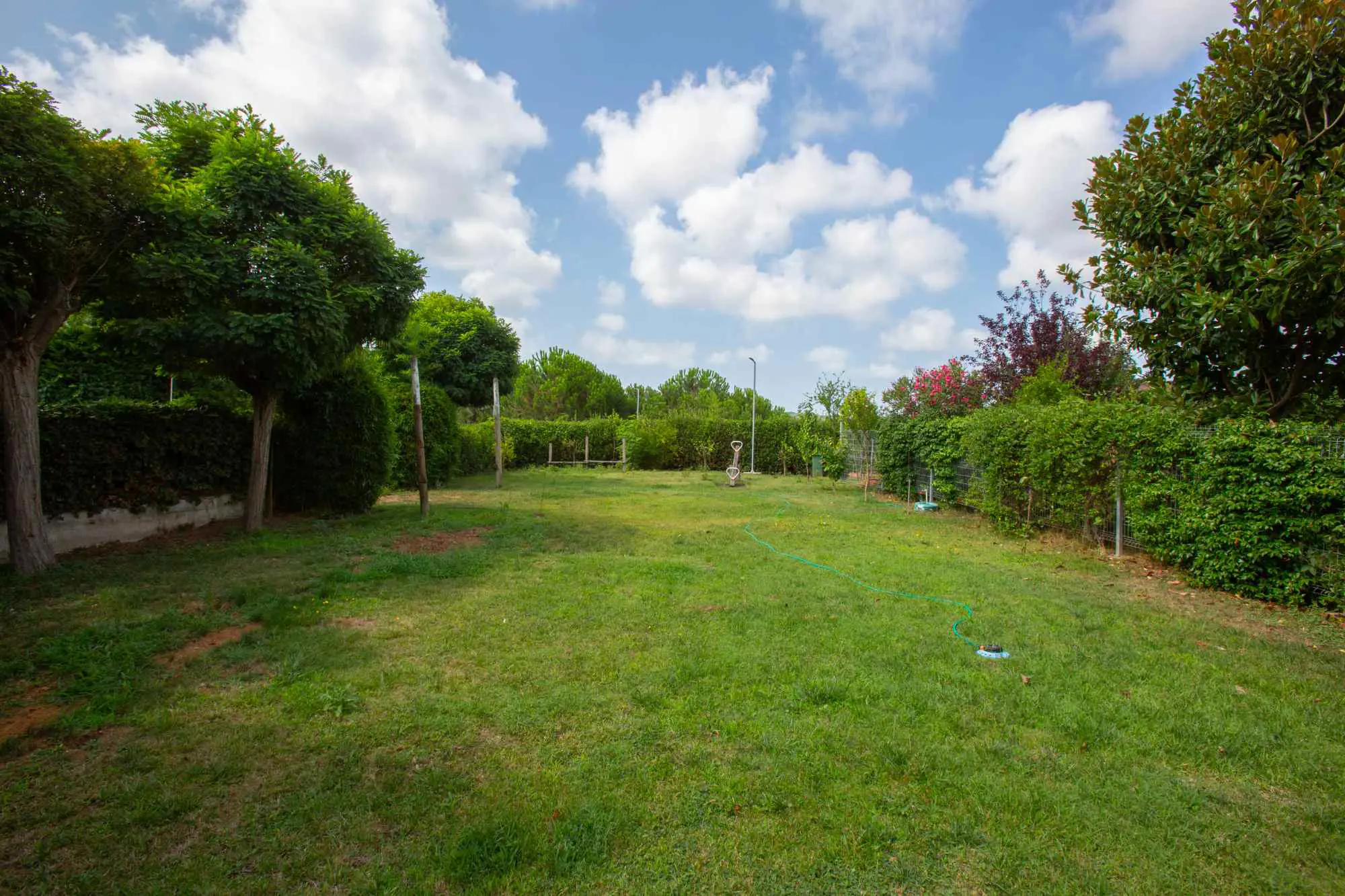 Property image 44