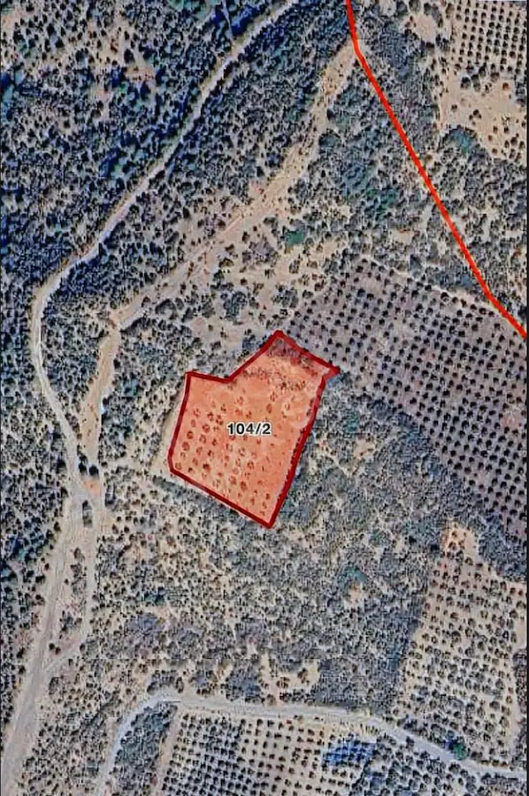 BERGAMA SARICALAR MAHALLESİNDE 8.579 M² ZEYTİNLİK TARLA!