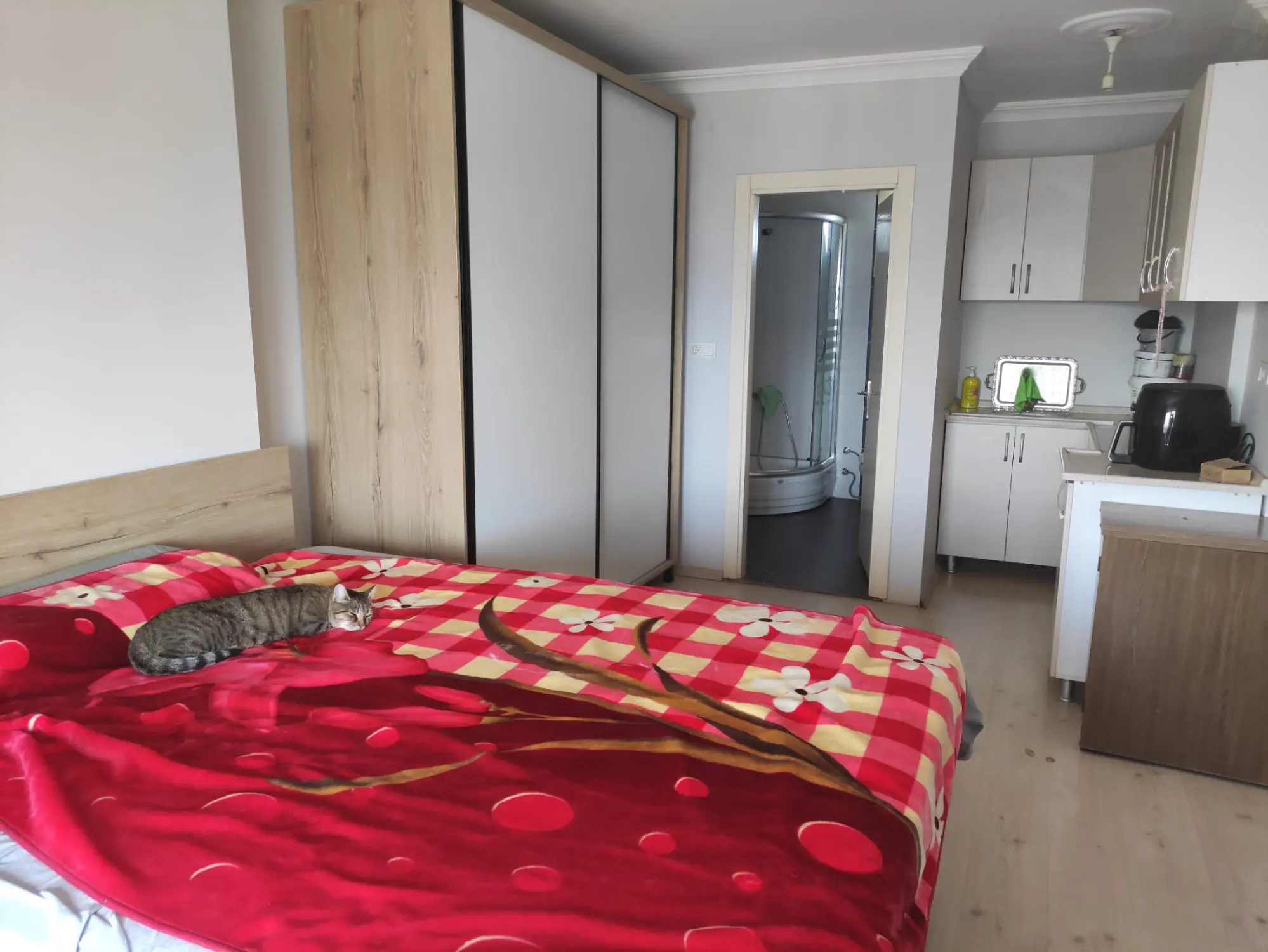 Property image 26