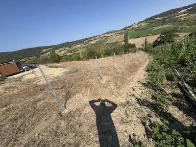 REMAX DREAM DEN YENİŞEHİR 3 DÖNÜM TARLA -YOLU VAR-KÖYE 250 M