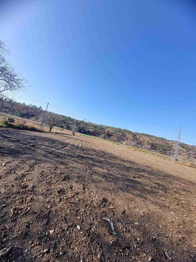 Ödemiş Artıcak Mahallesi Subatan Yaylası Satılık Arazi ve Ev