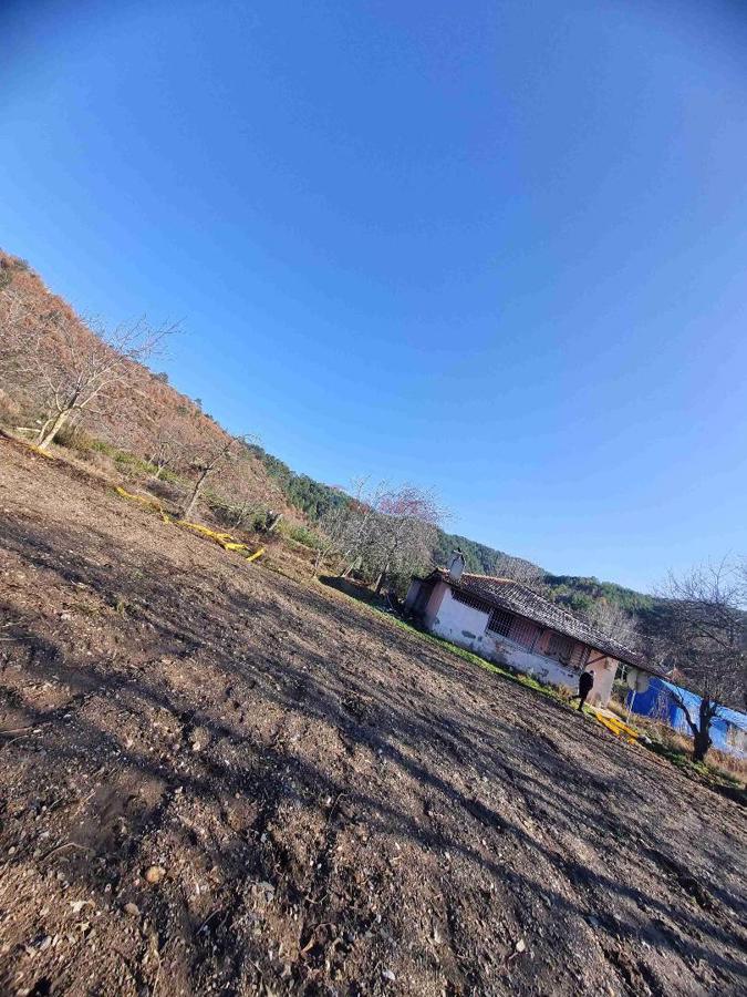 Ödemiş Artıcak Mahallesi Subatan Yaylası Satılık Arazi ve Ev