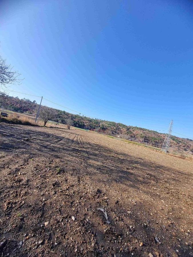 Ödemiş Artıcak Mahallesi Subatan Yaylası Satılık Arazi ve Ev