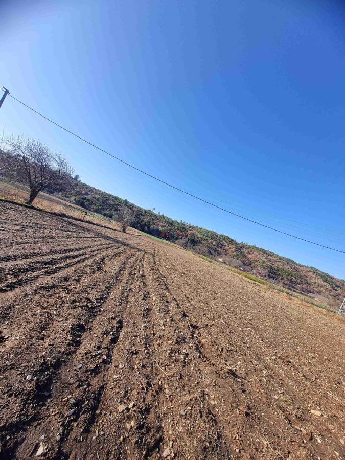 Ödemiş Artıcak Mahallesi Subatan Yaylası Satılık Arazi ve Ev