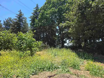 KANDIRA PELİTPINARI SATILIK 157 M² YATIRIMLIK TARLA