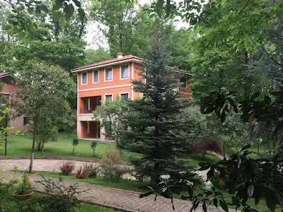 ŞILE KARABEYLI'DE DOĞANIN İÇERISINDE SATILIK TRIPLEKS ÖZEL VILLA