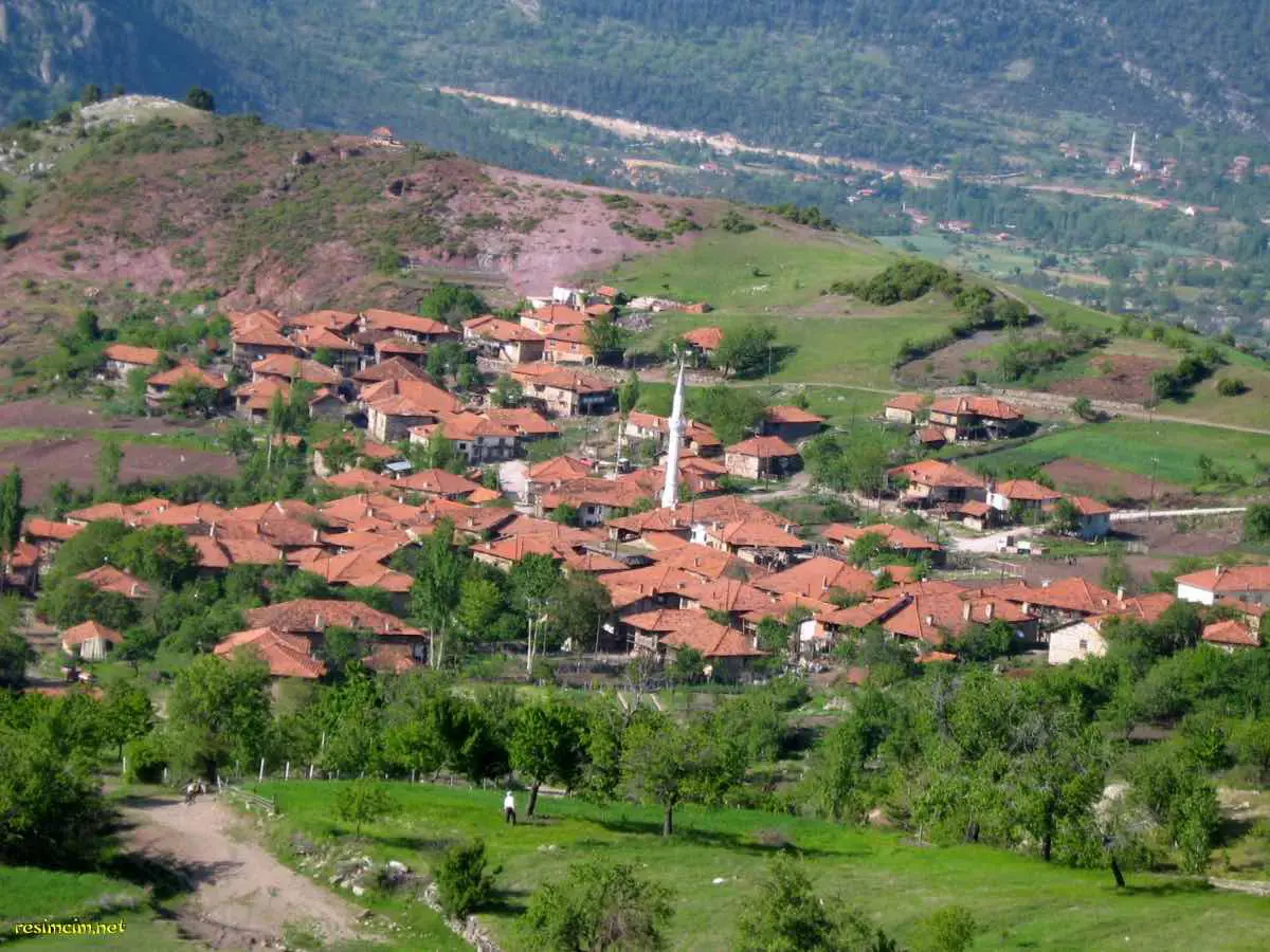 BALIKESIR SINDIRGI'DA GÖZEREN MAHALLESINDE FIRSAT SATILIK TARLA