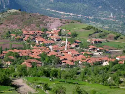 BALIKESIR SINDIRGI'DA GÖZEREN MAHALLESINDE FIRSAT SATILIK TARLA