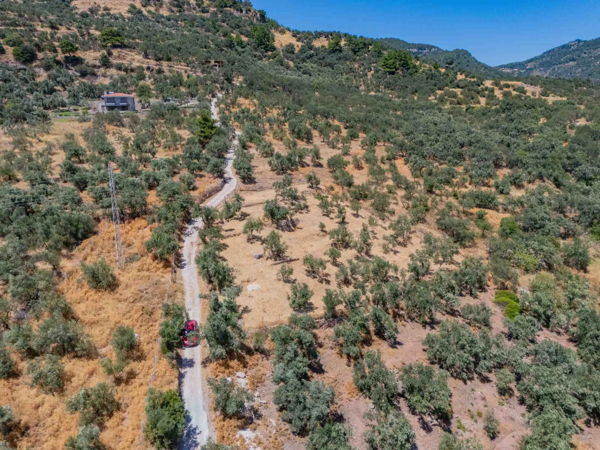 Property image 30